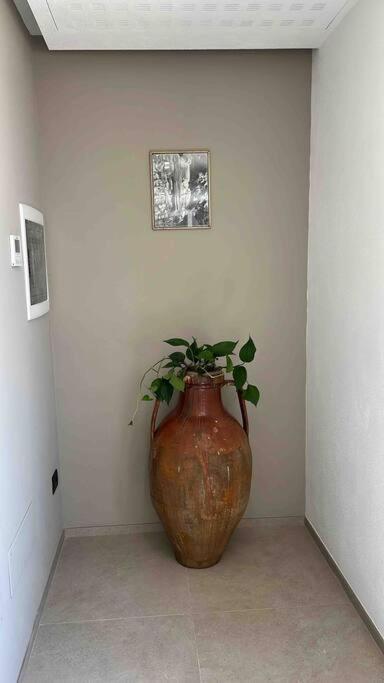Matarrese 1950 Bed and Breakfast Castellana Grotte Εξωτερικό φωτογραφία