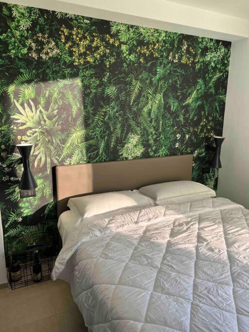 Matarrese 1950 Bed and Breakfast Castellana Grotte Εξωτερικό φωτογραφία